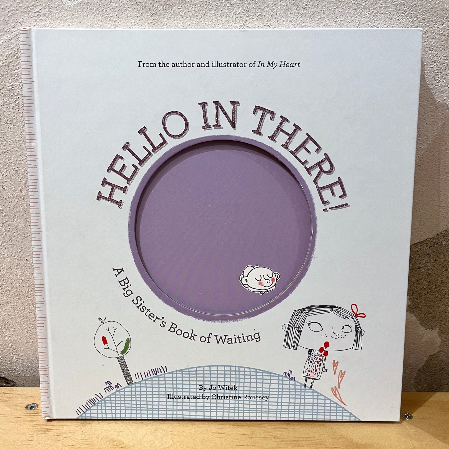 Hello in There! A Big Sister's Book of Waiting - Jo Witek, Christine Roussey