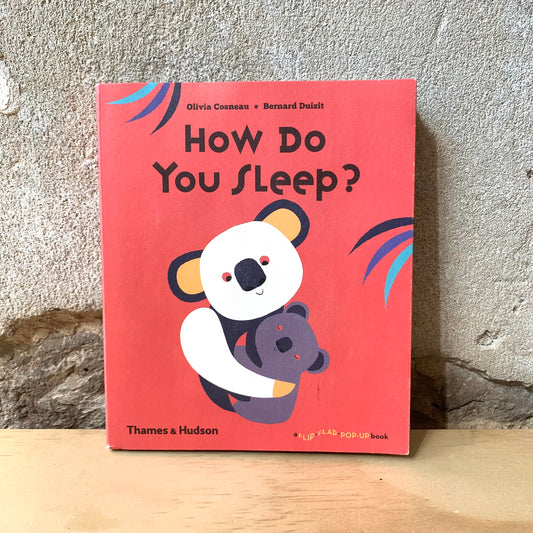 How Do You Sleep? – Olivia Cosneau, Bernard Duisit
