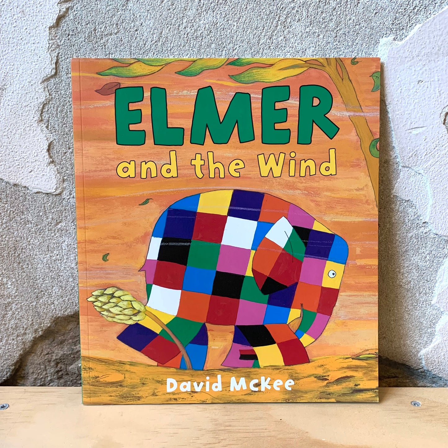 Elmer and the Wind – David McKee